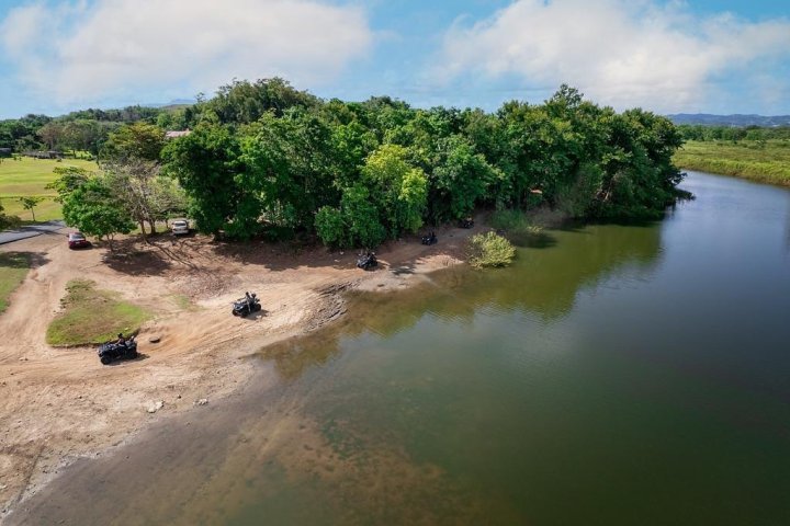 a herd of cattle walking across a river next to a body of water